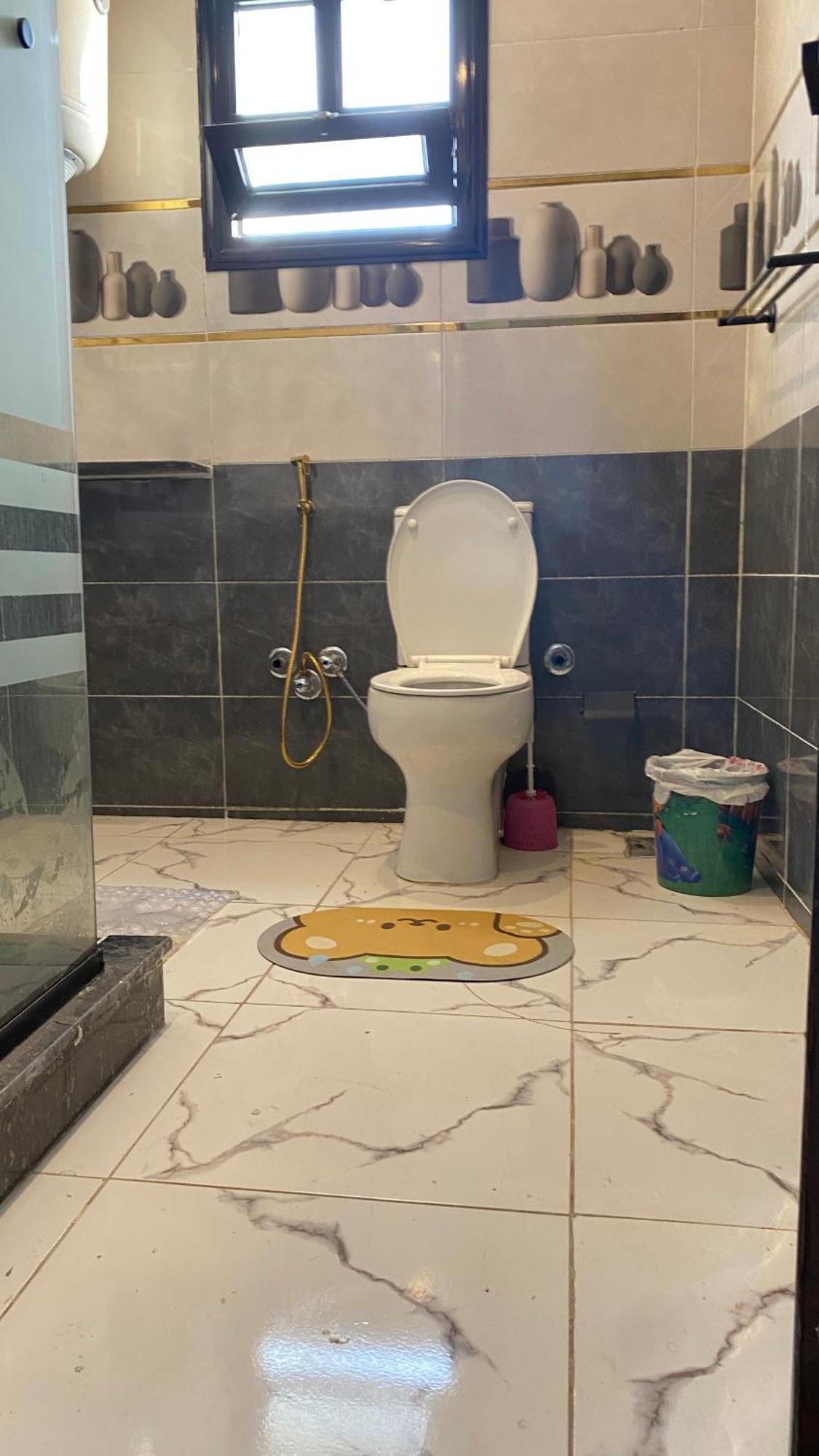 Super Elite Apartment - Aswan City Center Apartments エクステリア 写真